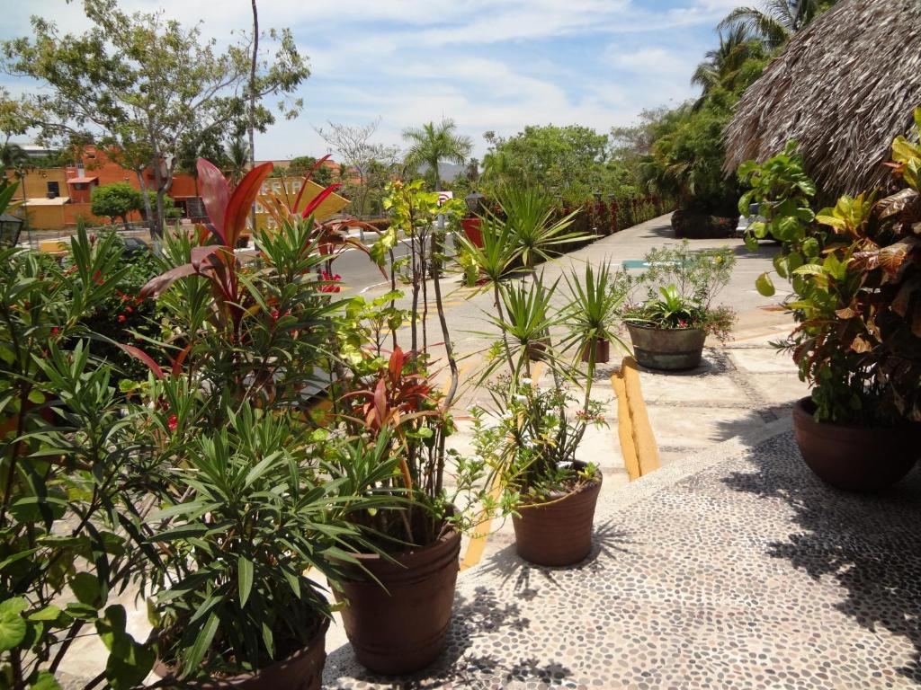 Puerta Del Mar Ixtapa 4*