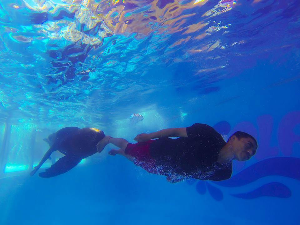 Hotel Splash Inn Nuevo Vallarta & Parque Acuatico 4*