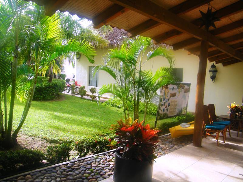 Palomas Vallarta Nuevo Vallarta