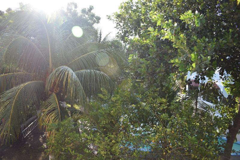 Mansion Giahn Bed & Breakfast Cancun