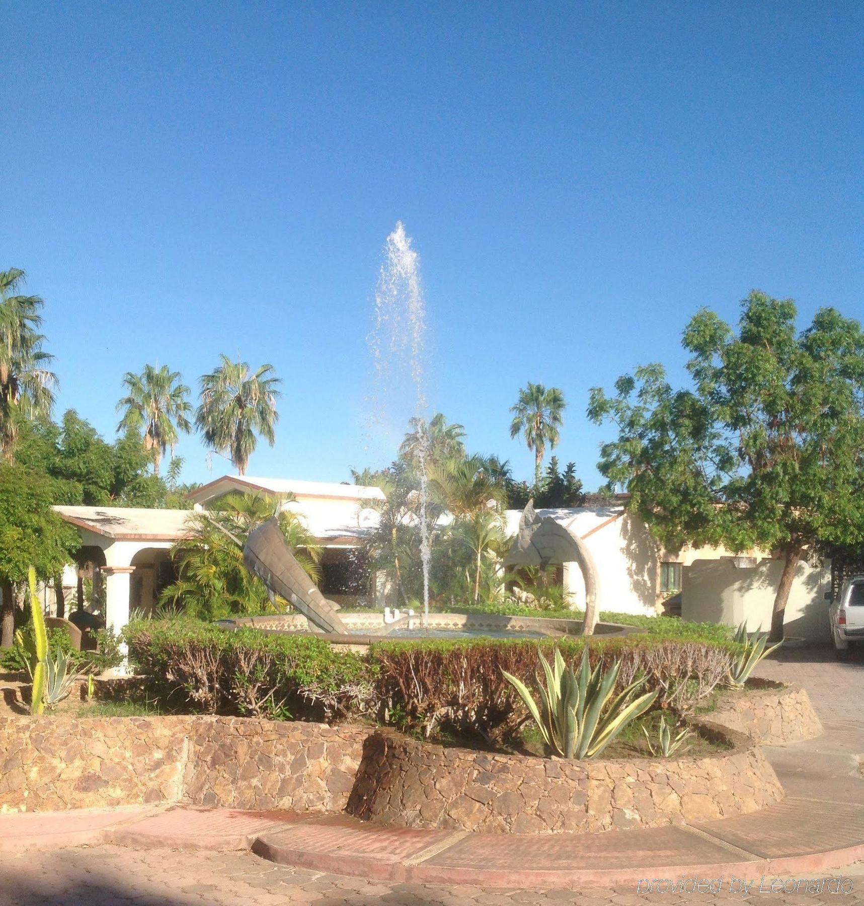 Hotel Buena Vista Oceanfront & Hot Springs