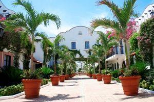 Hotel Elan Resort And Spa Cancun