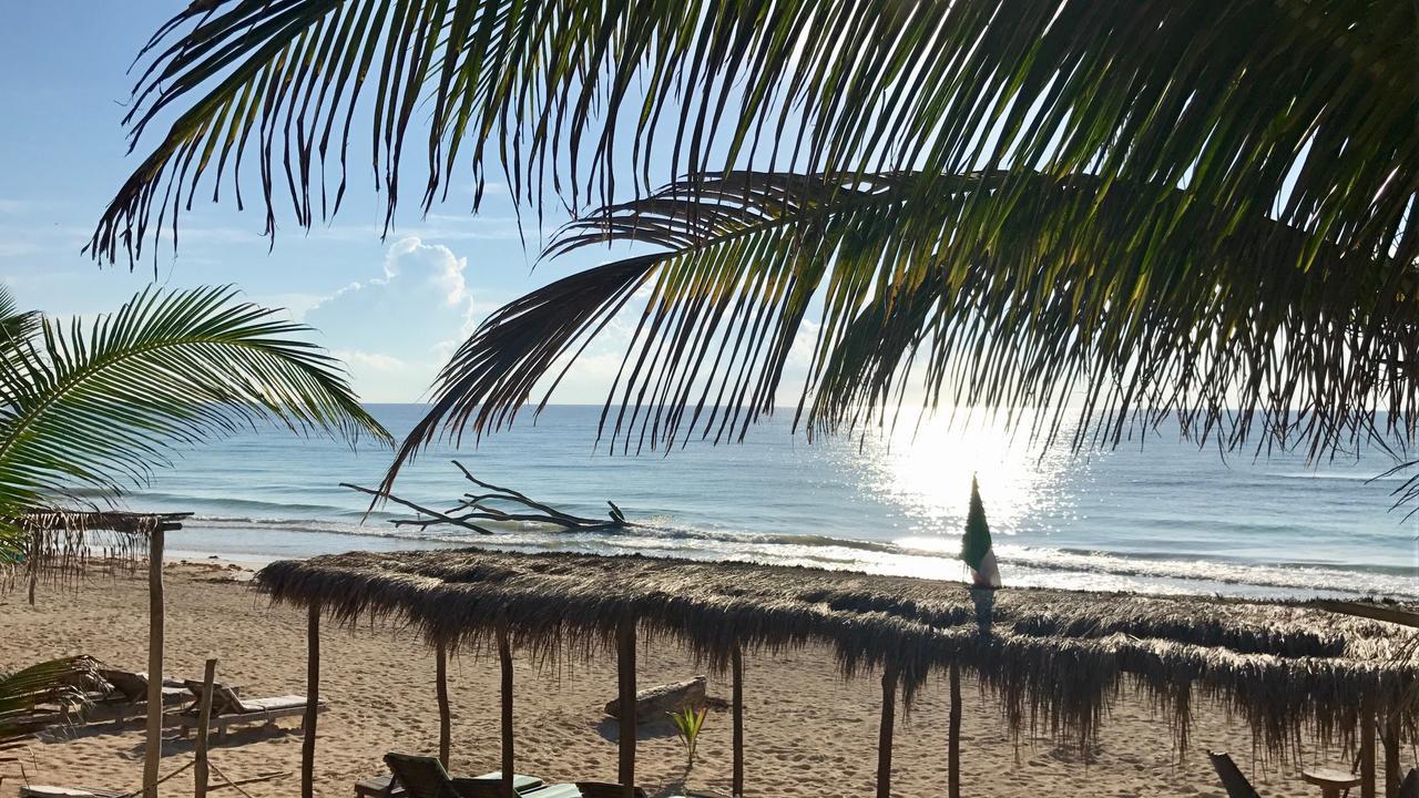 Agua Eco Design Hotel Hotel Tulum