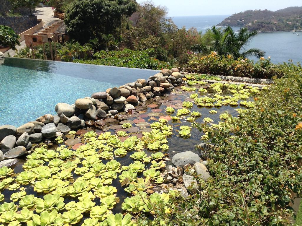 Casa Cuitlateca 5*
