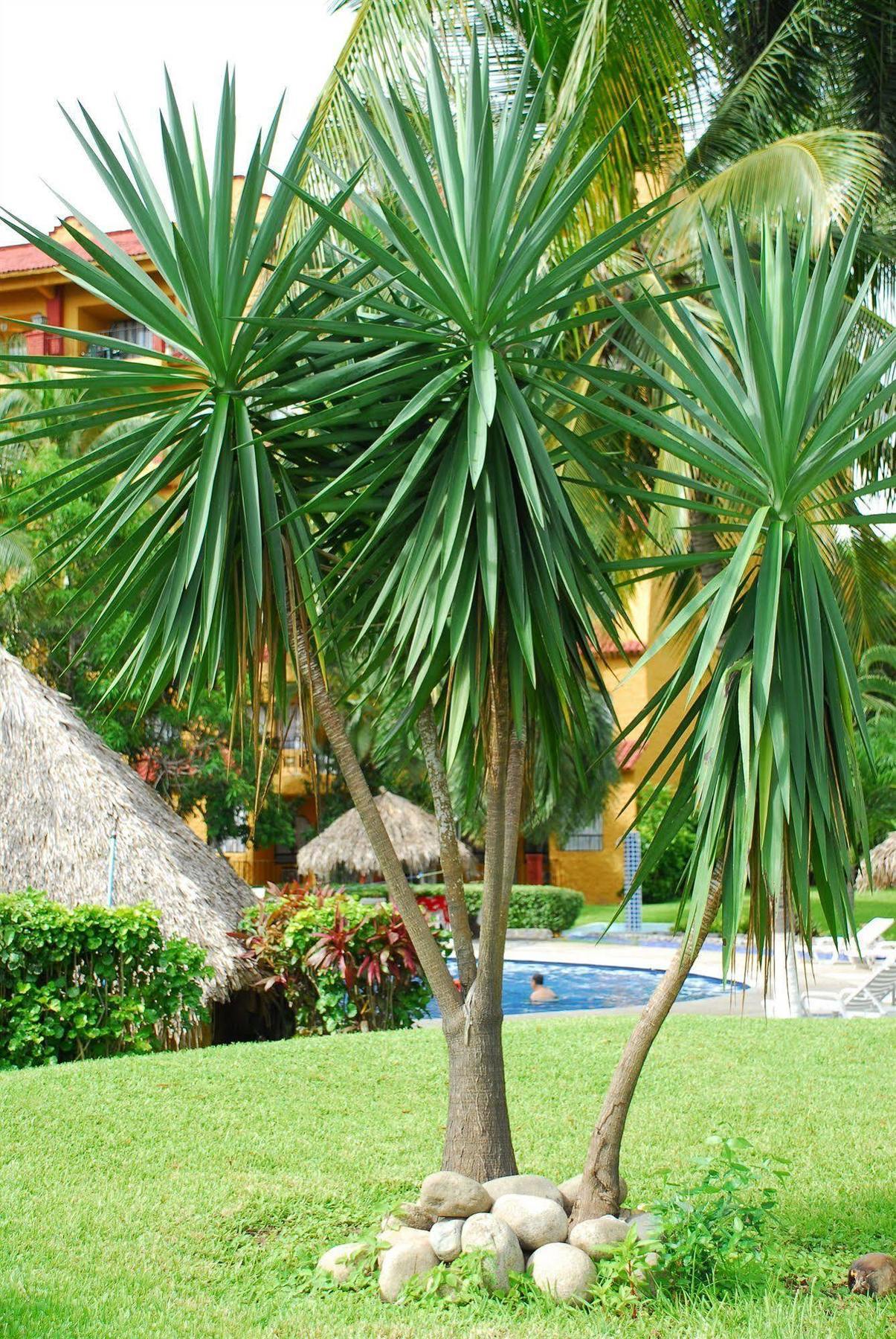 Puerta Del Mar Ixtapa 4*