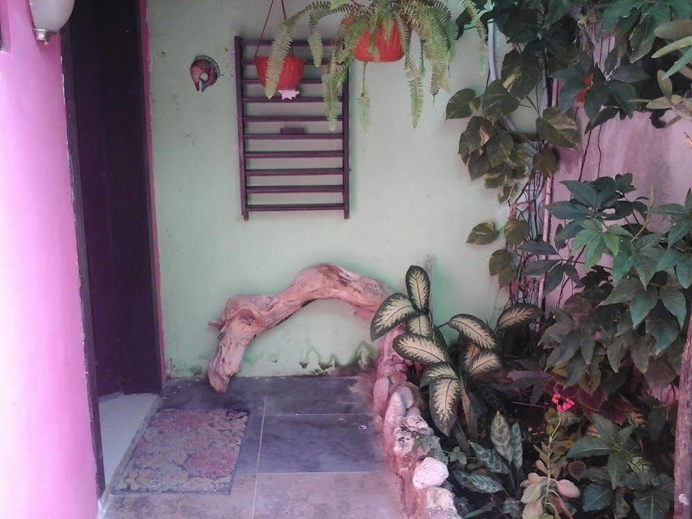 Buenos Dias Guest house 3*