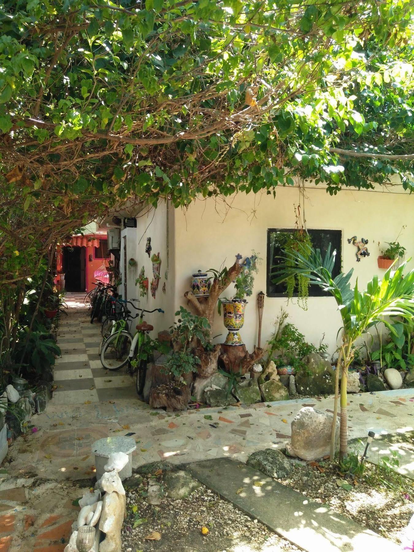 Buenos Dias Guest house 3*