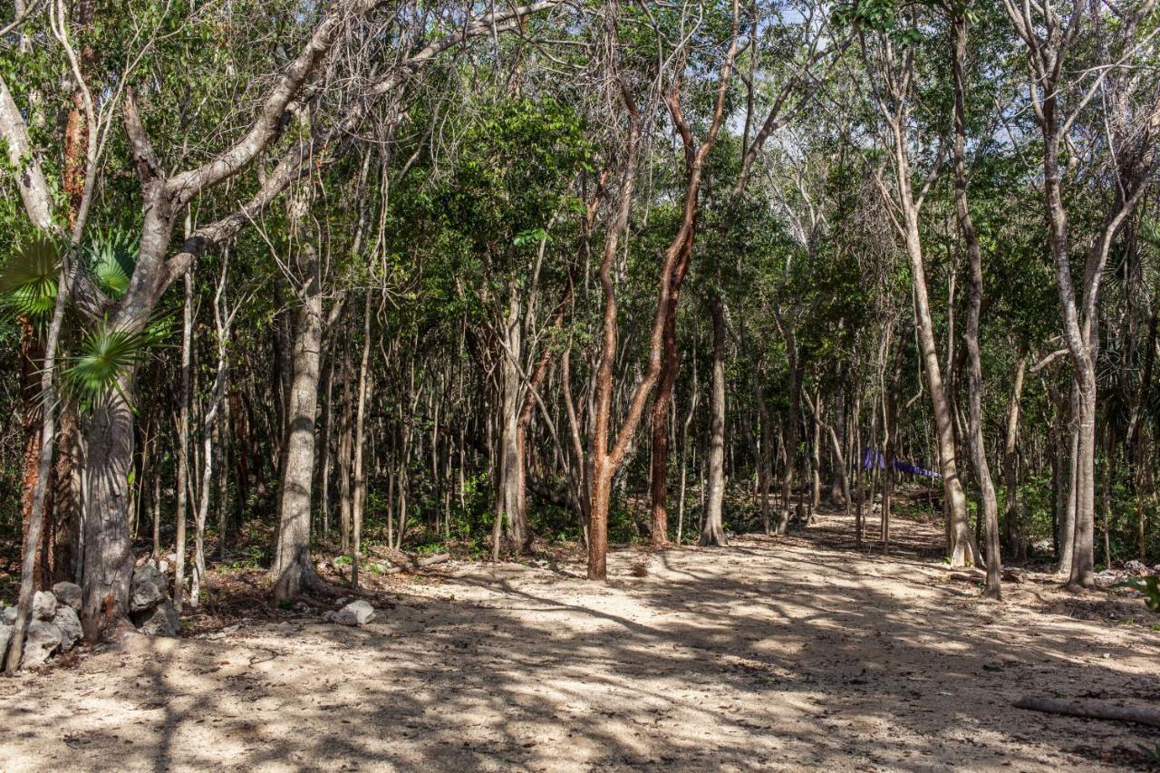 Cavelands In The Jungle * Chemuyil