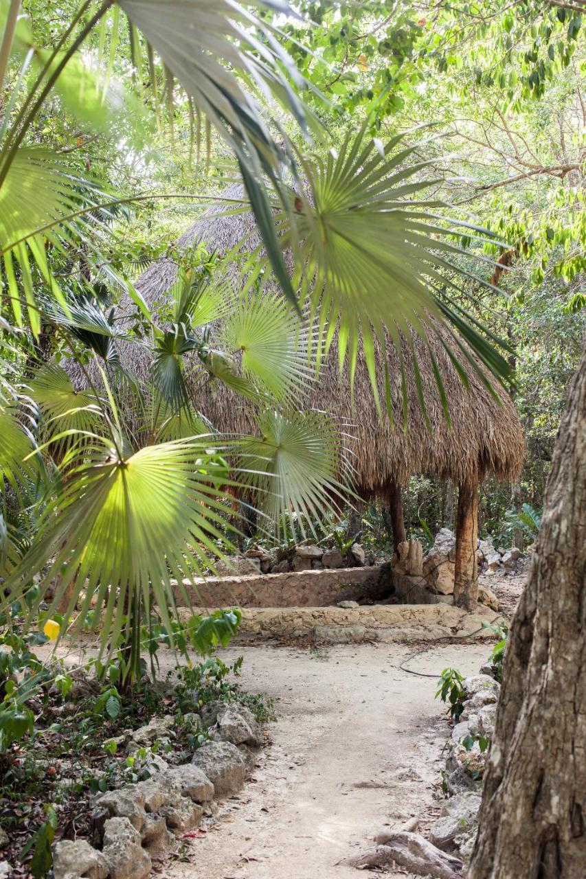 Cavelands In The Jungle Chemuyil
