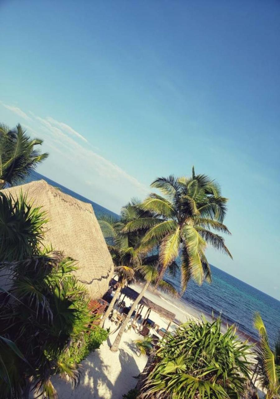 Hotel Agua Eco Design Hotel 4*