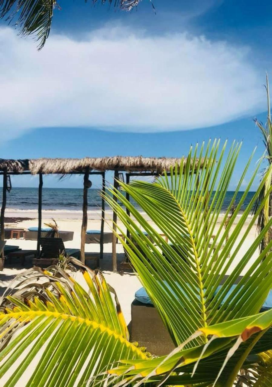 Hotel Agua Eco Design Hotel 4*