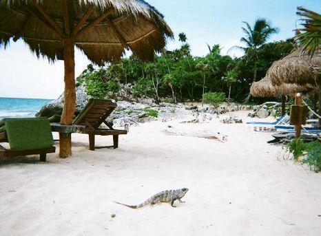 Hotel Azulik - Adults Only